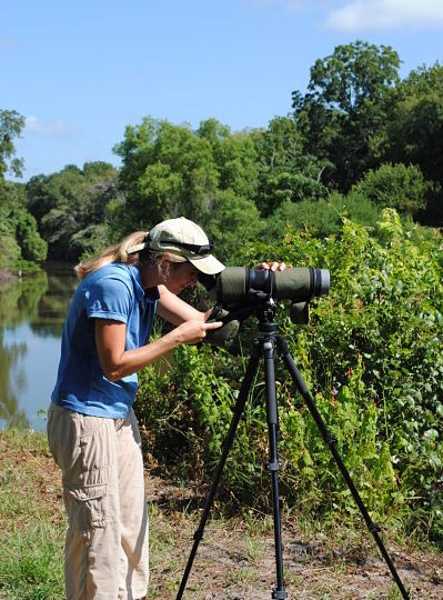 Photo of Wildlife Monitoring
