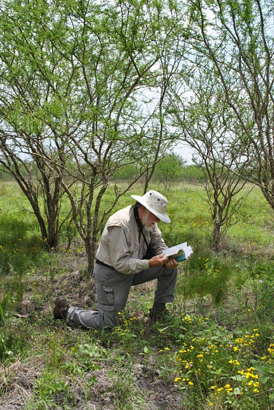 Photo of Vegetation Monitoring