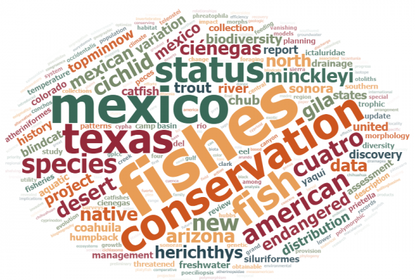 word cloud from all of Dean's publications
