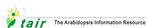 The Arabidopsis Information Resource