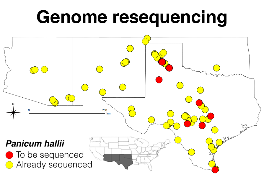 genome resequencing